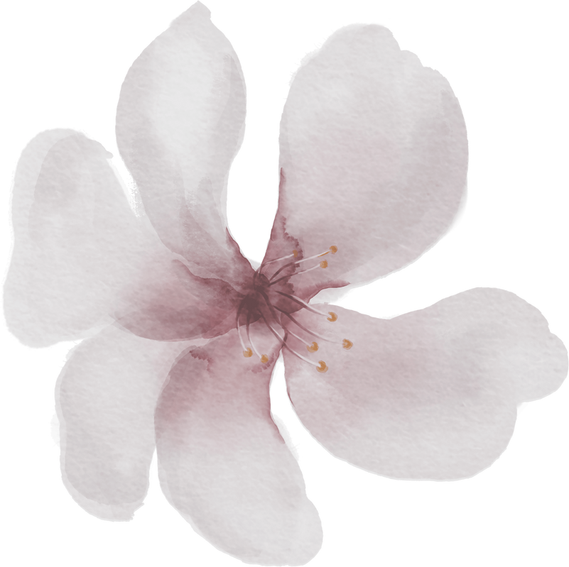 Gentle watercolor flower