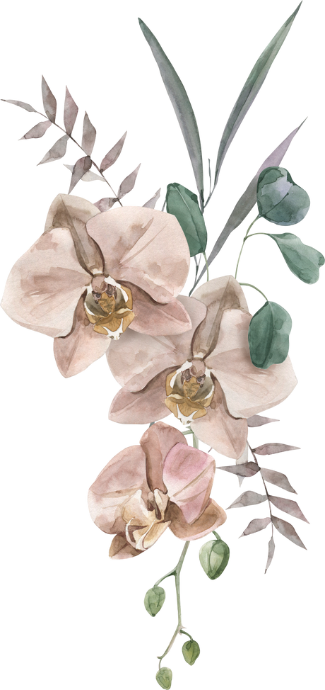 Watercolor Hand Drawn Beige Orchid Flower Bouquet