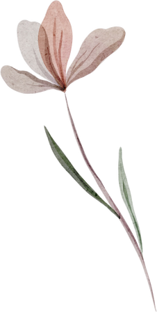 Watercolor Botanical floral