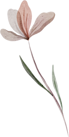 Watercolor Botanical floral