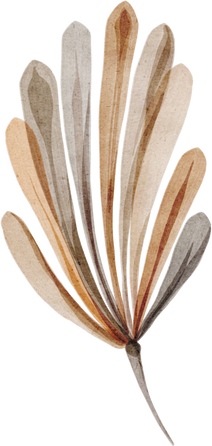 Watercolor Botanical floral